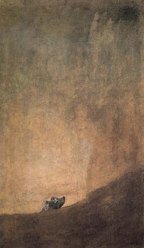 Francisco Goya The Dog